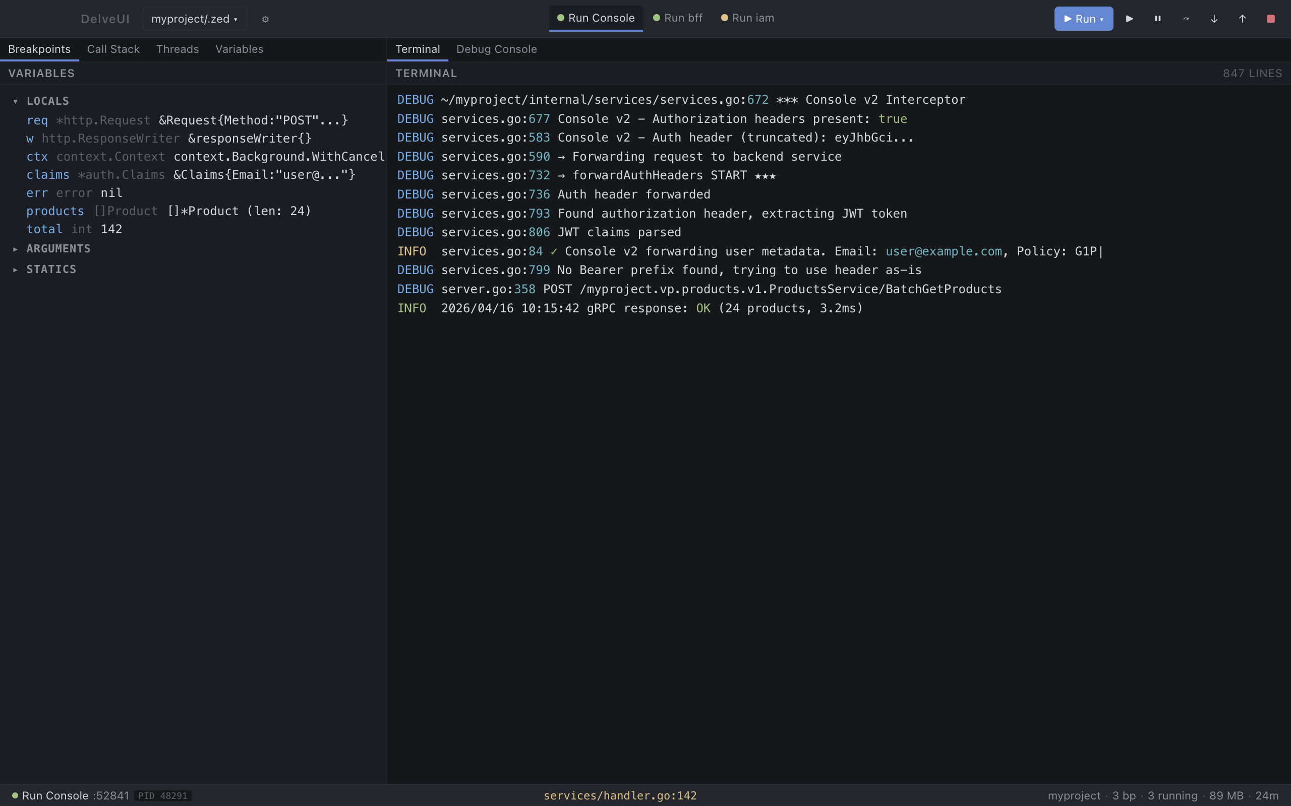 DelveUI debug session